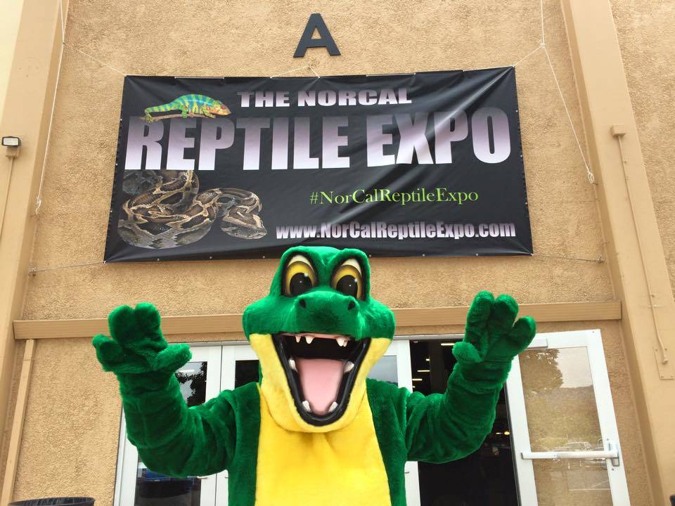 NorCal Reptile Expo, Pleasanton, Ca.
